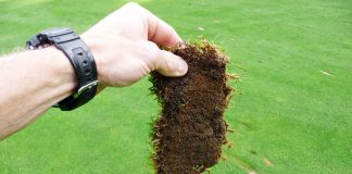 Jak vypadá golfový divot